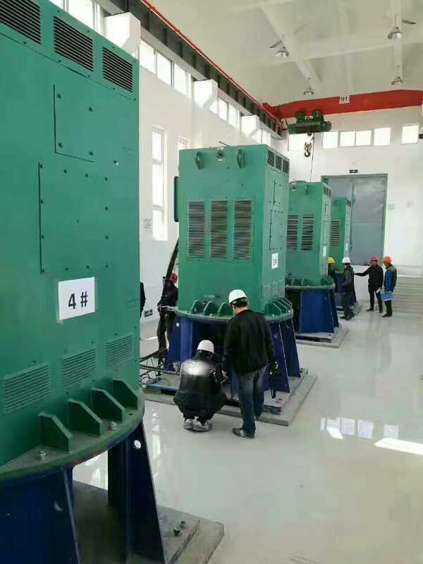 麻涌镇某污水处理厂使用我厂的立式高压电机安装现场